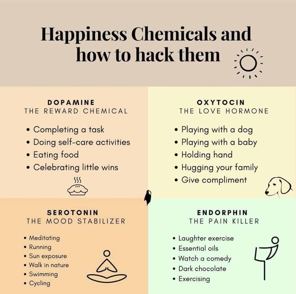 Happiness brain chemicals chart and explanation.