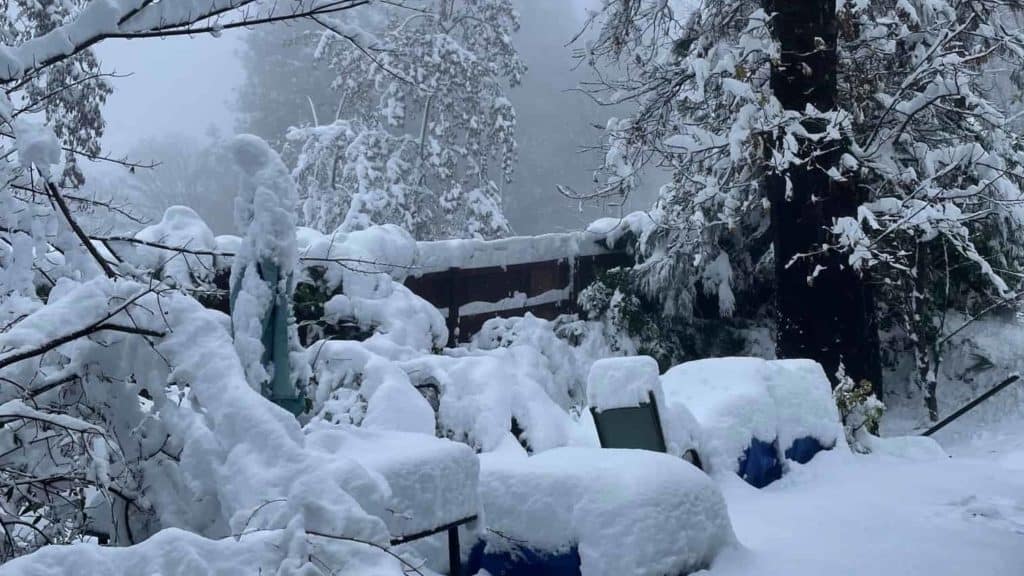 Deep snow in the backyard over the holidays in Nevada City, CA.