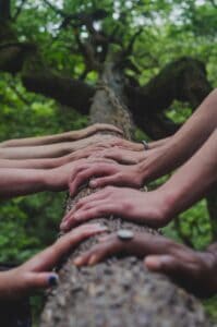 A group or tribe of people with their hands on the trunk of a tree symbolizing belonging.